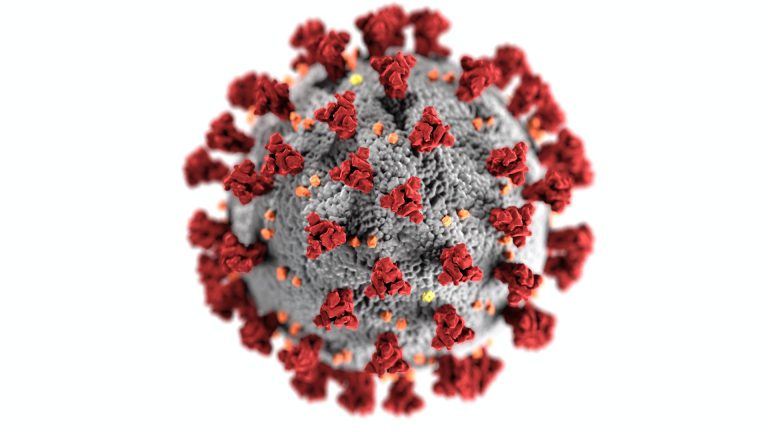 coronavirus-3992933-768x432-1