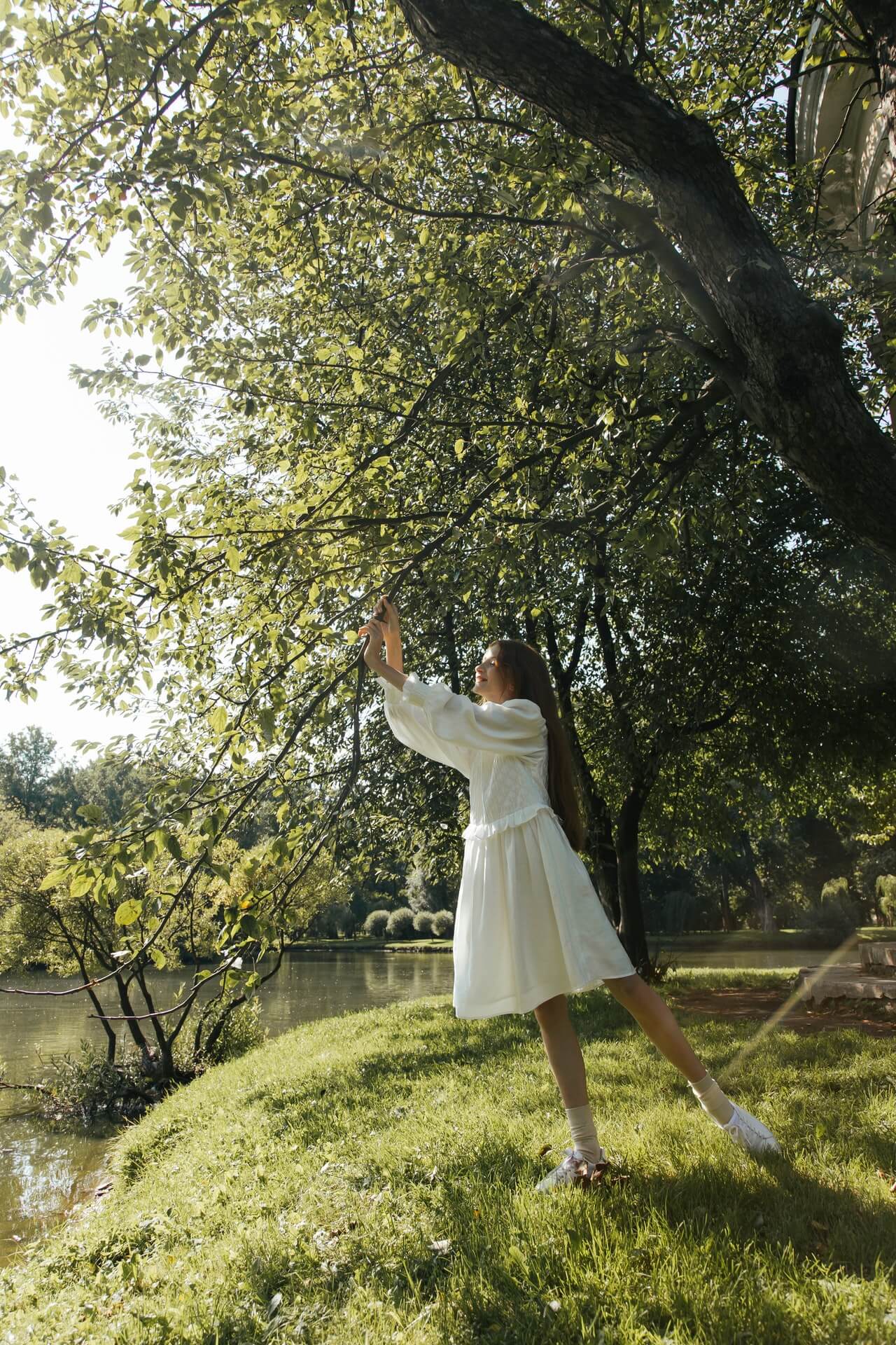 Forest Bathing (1)