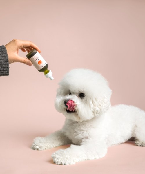 THC-Free-Pet-Oil_Small_2nd-1