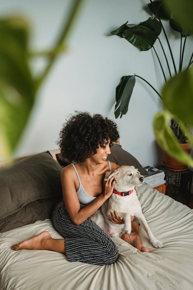 pets stress blog